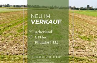 Gewerbeimmobilie kaufen in 86946 Vilgertshofen, Verkaufe 1,35 ha Ackerland in 86946 Pflugdorf (LL)