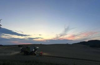 Wohnung mieten in 74925 Epfenbach, Helle 5-Zimmer Dachgeschosswohnung mit Balkon in Epfenbach
