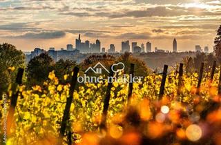 Grundstück zu kaufen in 60389 Frankfurt, Traumgarten auf dem Frankfurter Lohrberg