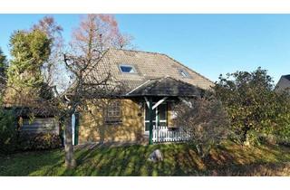 Einfamilienhaus kaufen in 25767 Osterrade, Ein Zuhause zum Wurzeln schlagen - Gepflegtes Einfamilienhaus in Osterrade