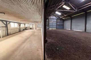 Gewerbeimmobilie mieten in 67824 Feilbingert, Lagerhalle mit 545 qm (340 qm + 205 qm) in Feldrandlage