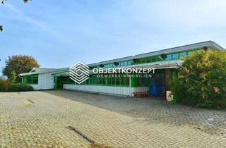 Büro zu mieten in 88636 Illmensee, Ihr neuer Unternehmensstandort: 600 m² Halle mit Büro, Lager, PV-Anlage und Rolltor