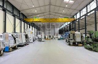 Gewerbeimmobilie mieten in 41352 Korschenbroich, Krananlagen | LED-Beleuchtung | 14 m UKB | repräsentative Flächen