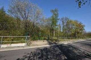 Grundstück zu kaufen in 38871 Ilsenburg, Waldgrundstück in Randlage von Ilsenburg