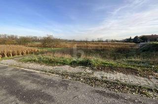 Grundstück zu kaufen in 76706 Dettenheim, TRAUMHAFTES GRUNDSTÜCK IN DER NATUR