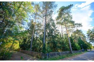 Grundstück zu kaufen in Wurzelweg, 16348 Wandlitz, Heinze-Immobilien(IVD): Baugrund für EFH in ruhiger Lage in Basdorf (W4)