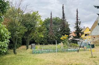 Grundstück zu kaufen in 67586 Hillesheim, Erschlossenes Grundstück mit Blick auf die Weinberge