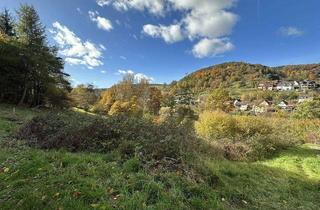 Grundstück zu kaufen in 63872 Heimbuchenthal, Seltene Gelegenheit: Großes Baugrundstück am Naturschutzgebiet in Heimbuchenthal