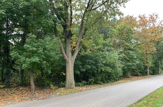 Grundstück zu kaufen in 26209 Hatten, Baugrundstück im Mischgebiet in der Gemeinde Hatten, Landkreis Oldenburg