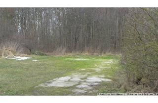 Grundstück zu kaufen in 18317 Saal, Naturgrundstück Ostsee/ Mecklenburg-Vorpommern