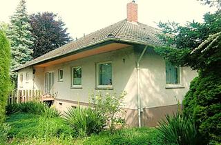 Einfamilienhaus kaufen in 55234 Flomborn, Freistehender Bungalow auf 3811 m² Grundstück in überragender Lage