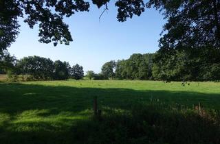 Immobilie kaufen in 31613 Wietzen, 3,25 ha Grünland mit Wald in Wietzen