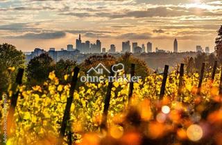 Immobilie kaufen in Lohrberg, Seckbach, 60389 Frankfurt, Traumgarten auf dem Frankfurter Lohrberg