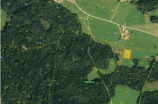 Immobilie kaufen in 83278 Traunstein, Für Imker und Bienenfreunde Freizeitgrundstück nahe am Waldrand