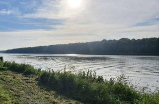 Doppelhaushälfte kaufen in 25715 Averlak, Neubau: Zwei moderne Doppelhaushälften - Erstbezug 2025. Ihr neues Zuhause erwartet Sie!