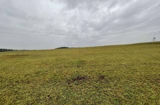 Immobilie kaufen in 90562 Heroldsberg, Kein Bauland - Kapitalanleger aufgepasst, mit Geduld können Sie hier gut anlegen