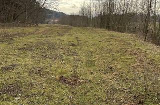 Immobilie kaufen in 83365 Nußdorf, Wiese (mit oder ohne Unterstand) als Ausgleichsfläche, Freizeit oder Hobbygrund zu verkaufen