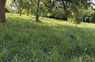 Immobilie kaufen in 75210 Keltern, Baugrundstück in Keltern-Niebelsbach