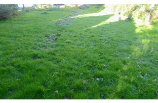 Immobilie kaufen in 56410 Montabaur, Vier Wohneinheiten möglich in zentraler Lage in Eschelbach