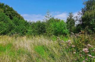 Lager kaufen in 58453 Witten, Traumhaftes Grundstück in Witten - Ideal für Selbstversorger oder Projektentwickler