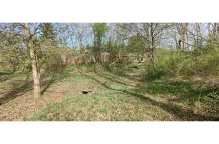 Immobilie kaufen in 29473 Göhrde, 'Ayurvedaklinik Europa' im Wendland