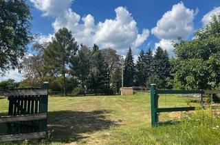 Immobilie kaufen in 15938 Steinreich, Idyllisches Baugrundstück nahe Berlin – verwirklichen Sie Ihr Traumhaus mit traumhaftem Ausblick!