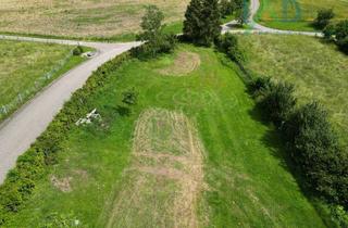 Immobilie kaufen in 86657 Bissingen, Teilbares Baugrundstück in Bissingen-Stillnau von 400m² - 1500m²