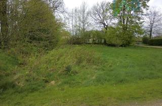 Immobilie kaufen in 24863 Börm, schönes, Grundstück auf dem Lande