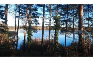 Haus kaufen in 06772 Gräfenhainichen, Gräfenhainichen - Wochenendgrundstück 750 qm in Möhlau am Möhlauer See zu verkaufen