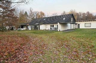 Haus kaufen in 29393 Groß Oesingen, Groß Oesingen - Großes Grundstück (ca. 3500m2) mit Wohnhaus+Ferienhaus