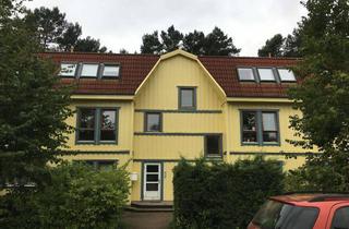 Wohnung mieten in Selma-Lagerlöf-Ring 49, 14822 Borkwalde, BESICHTIGUNG 25.11.25 15:30 Uhr schöne Erdgeschosswohnung mit Terrasse sucht neuen Bewohner