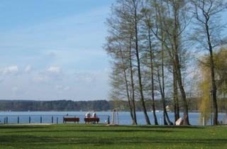 Wohnung mieten in Schulstraße 20, 15526 Bad Saarow, Die ideale Familienwohnung!