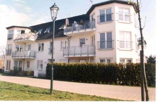 Sozialwohnungen mieten in Ahornring, 16356 Ahrensfelde, Schöne 2-Raumwohnung im Erdgeschoss! Ohen WBS!