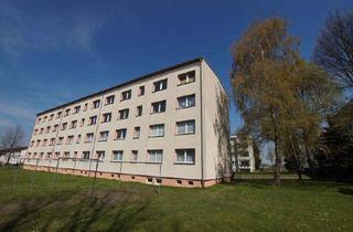 Wohnung mieten in Wilhelm-Pieck-Straße 11, 07819 Triptis, 2-Raum-Wohnung in Triptis