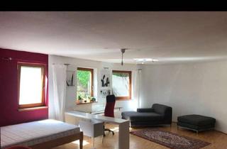 Wohnung mieten in 89160 Dornstadt, Ansprechende 1-Zimmer-Wohnung mit Einbauküche in Dornstadt