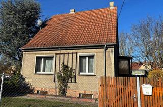 Einfamilienhaus kaufen in 04779 Wermsdorf, Freistehendes Einfamilienhaus mit herausragendem Grundstück und vielseitigem Potenzial