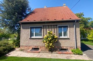 Einfamilienhaus kaufen in 04779 Wermsdorf, Freistehendes Einfamilienhaus mit herausragendem Grundstück und vielseitigem Potenzial