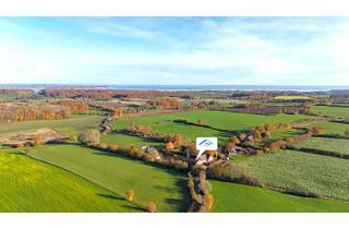 Haus kaufen in 24989 Dollerup, Neu errichteter Resthof mit 2 Wohneinheiten und Wiese