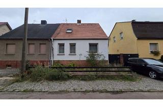 Doppelhaushälfte kaufen in Merziener Str. 46, 06846 Kleinkühnau, Doppelhaushälfte mit viel Potenzial auf 489 m² Grundstück