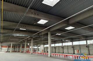 Büro zu mieten in 94315 Straubing, Halle mit Büro, ideal für Lagerzwecke und flexibel für Events oder Sport nutzbar