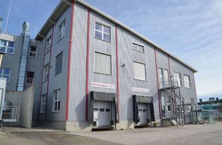 Gewerbeimmobilie kaufen in 72525 Münsingen, Gewerbeimmobilie in Münsingen