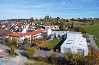 Gewerbeimmobilie kaufen in Obere Dorfstraße 53, 72364 Obernheim, Produktion * Lager * Trafo 250 kVA