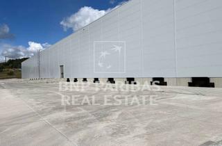 Gewerbeimmobilie mieten in 91154 Roth, Logistikfläche in Nürnbergs Süden, Auffahrt A9 5 Minuten, GVZ 20 Minuten