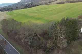 Grundstück zu kaufen in 07749 Wenigenjena, Freizeitgrundstück an der Eisenberger Straße sucht neuen Eigentümer