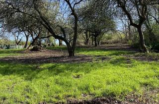 Grundstück zu kaufen in 66954 Pirmasens, Freizeitgrundstück