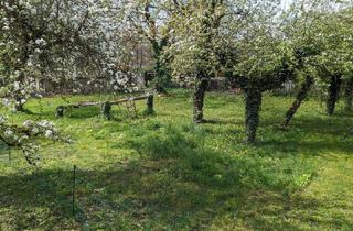 Grundstück zu kaufen in 78262 Gailingen, FÜR BAUTRÄGER - Baugrundstück am Hochrhein / Bodenseenähe, 1.026 m²