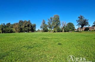Grundstück zu kaufen in 17237 Möllenbeck, Bauträgerfreies ca. 3.800m² großes Grundstück in wunderbarer Lage, Bauland ca. 1.500 m²