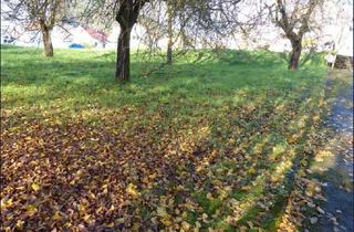 Grundstück zu kaufen in 71540 Murrhardt, Großes Grundstück in ruhiger Lage in Murrhardt-Siegelsberg