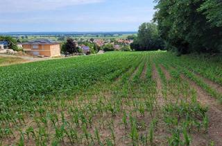 Grundstück zu kaufen in 89438 Holzheim, Großzügig bebaubares Grundstück mit Panoramablick