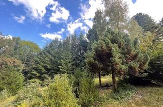 Grundstück zu kaufen in 09405 Zschopau, "Erholung mitten in der Natur" - Einzigartiges Freizeitgrundstück